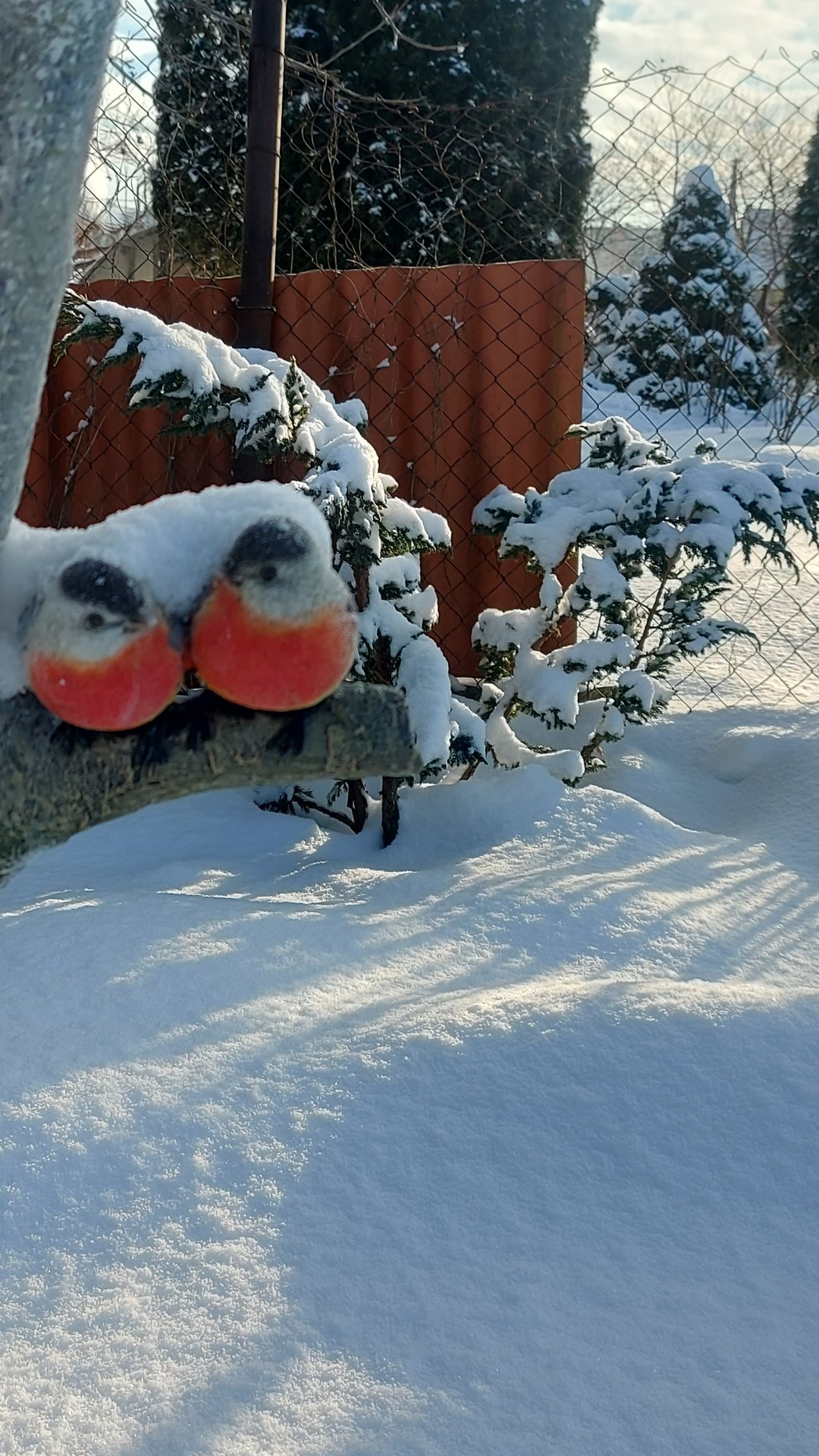 Зимний сад на белом белом покрывале января🌲❄️🌲 смотреть онлайн