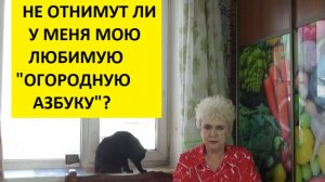 Помогите мне "РАЗОБРАТЬСЯ С КИТАЙЦАМИ"! Нужен совет умных зрителей!