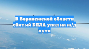 Сбитый БПЛА упал на пути и задержал поезда в Воронежской области