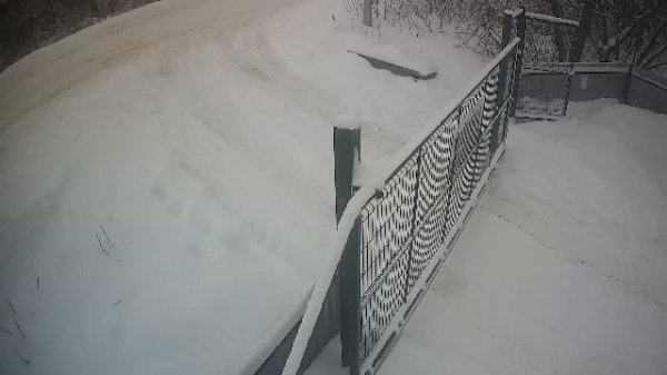 LIVE: channel74055310