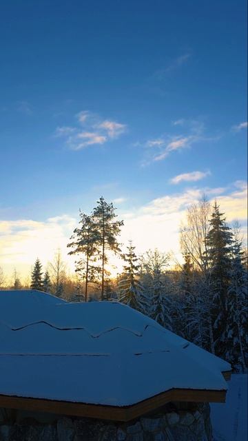 красота над землёй 🌲