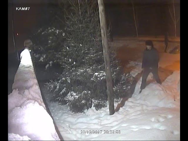 Ёлочный потрошитель (Камера 7) смотреть онлайн