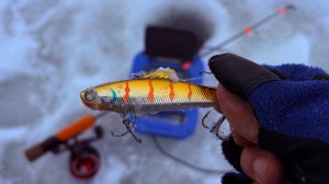 Поверил в ПРИМАНКУ, ОНА ЛОВИТ! РЫБАЛКА на раттлины, Судак зимой 2026