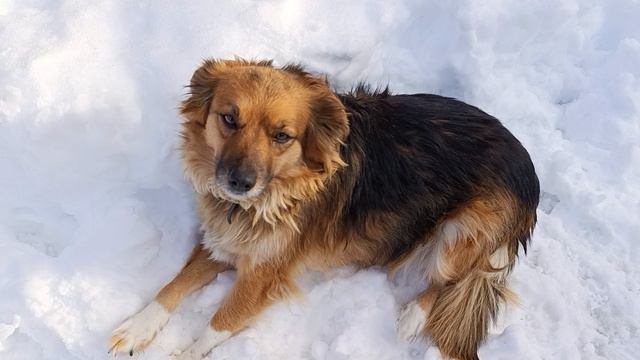 .Люся Люсенька моя смотреть онлайн