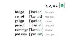 11 Чтение двусложных слов (правила чтения) Английский язык