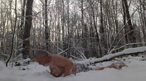 Что нам снег? Закаливание. Предрождественское купание в снегу. 06.01.2026. Температура воздуха -7 г