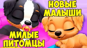 😍МИЛЫЕ малыши ПИТОМЦЫ😍новый секретный малыш😍Котики 😍 FLOOF