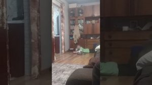 следим за максом