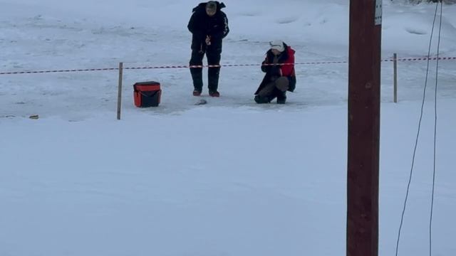 1000137651.mp4 смотреть онлайн