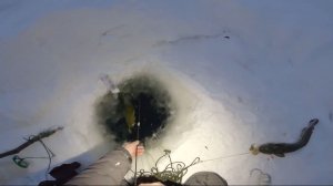 Рыбалка у чëрной дыры. Ловля налима. Тридцать первая серия.