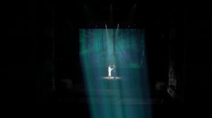 "В ГОРОДЕ ЗВЁЗД" - музыкально-пластическая феерия