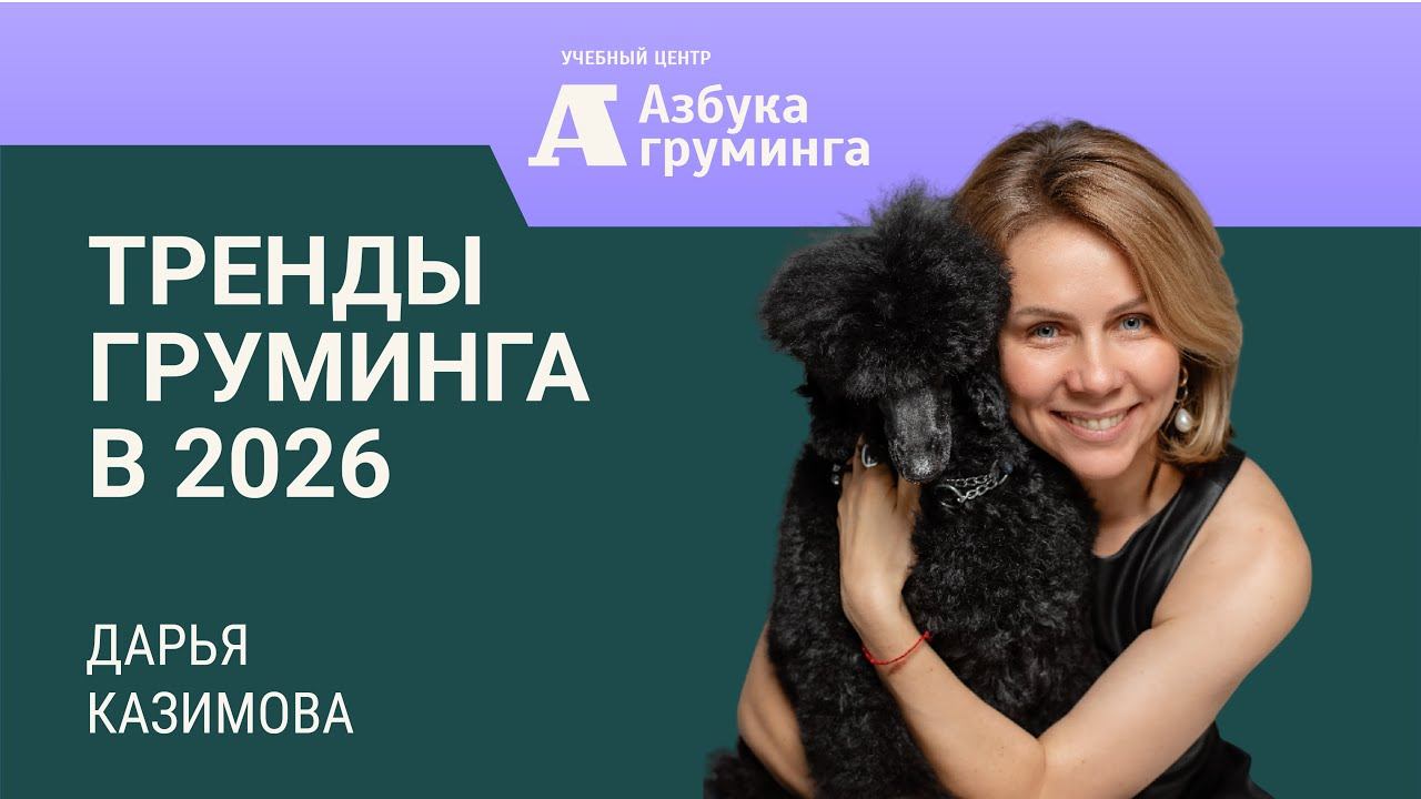 Тренды груминга 2026 с Азбука Груминга