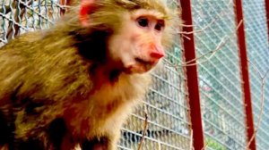 Теперь роли поменялись, Анфиса стала старшая, а Финя старается от нее держатся подальше)))