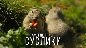 Одно из САМЫХ МИЛЫХ мест на Земле. Удивительный мир ПРИЭЛЬБРУСЬЯ. Кабардино-Балкария