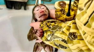 ОБХОХОЧЕШЬСЯ! Анфисе вроде как местами НРАВИТСЯ КУПАТЬСЯ, но истерику закатить - ЭТО СВЯТОЕ!))