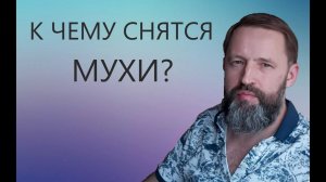 К чему снятся МУХИ.