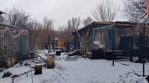 Только Мира и Спокойствия!