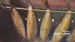 Скумбрия под ШУБОЙ! Холодного копчения! Рецепт! Славянские Коптильни! Электростатика!