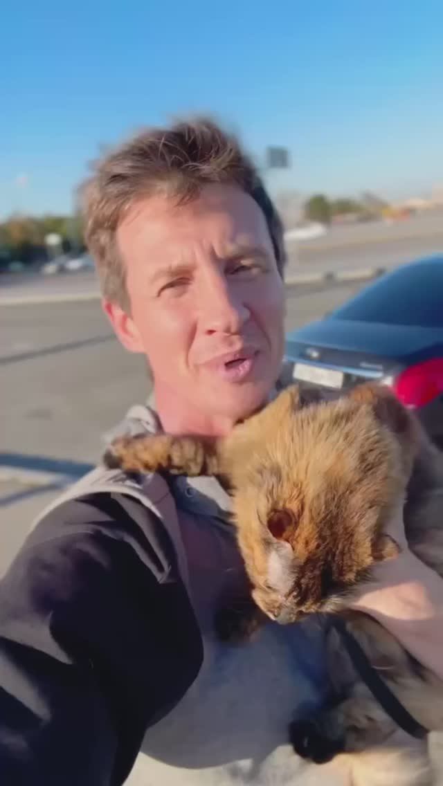 Помогли знаменитому блогеру-моряку Александру papazzhuk подобрать авто для кота. NETCARS