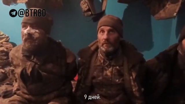 Пленные боевики Всу в Димитрове 🇷🇺💪 смотреть онлайн