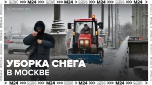 Коммунальные службы Москвы проводят работы по уборке снега - Москва 24
