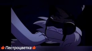 💖Коты-воители/Искра/мини клип 💖