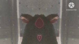 BOOBA Csupo in Confusion