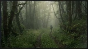 РАЗВЕ ТОЛЬКО ДОМОЙ Песня в которой вся жизнь @НАШАПЕСНЯ-р4р