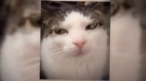 ОПИСАНИЕ СЪЕЛ БРАТ...  название песни -- cry for me (wa wa wa) ;З.