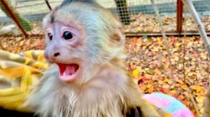 Я пришла забирать Финика с Анфисой, а они так сдружились и не хотят идти домой😁