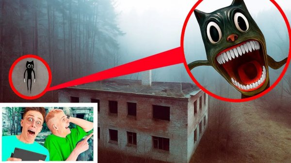 МОЙ ДРОН ПОЙМАЛ CARTOON CAT в РЕАЛЬНОЙ ЖИЗНИ! 💀📹