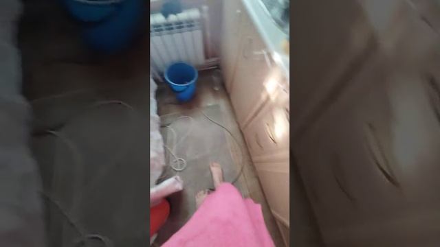 новый аквариум мучения.