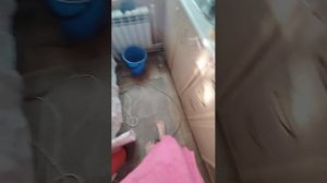 новый аквариум мучения.