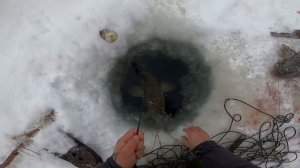 Рыбалка перед Рождеством. 53