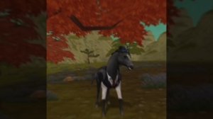 С лошадкой :)