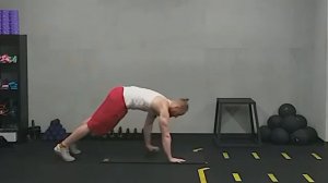 Паучек с приседаниями, 2 вариации.