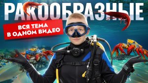 Класс Ракообразные | Полный разбор для ОГЭ по биологии | Умскул