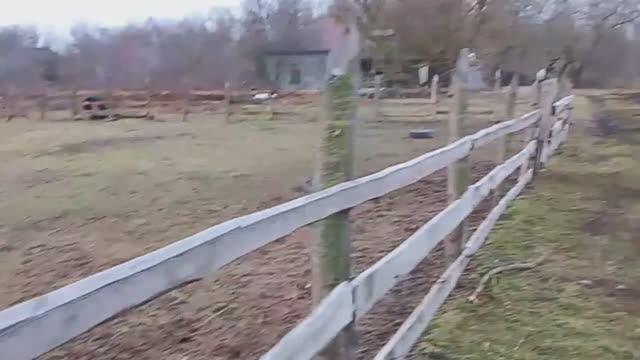 Хутор Вишняковых , Хуторская Жизнь , День за Днём