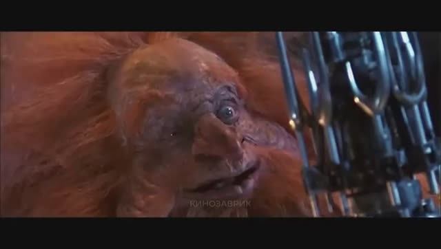 35 ОЖИДАЕМЫХ ФИЛЬМОВ 2026 ГОДА! ЧТО ПОСМОТРЕТЬ В КИНО смотреть онлайн