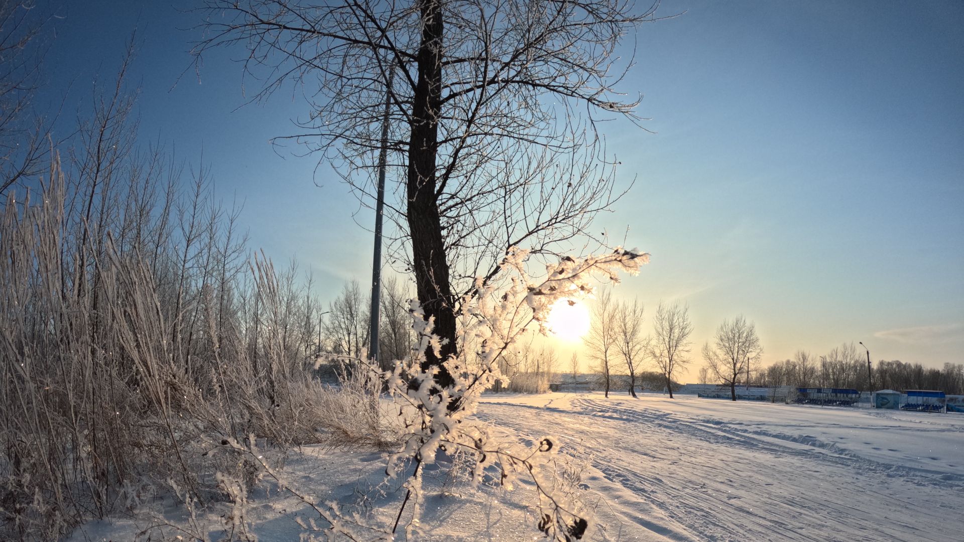 Зимние каникулы '2026 (Winter Holidays '2026)