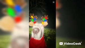 Моя Новогодняя поездка 🎅🏻❄️❤️