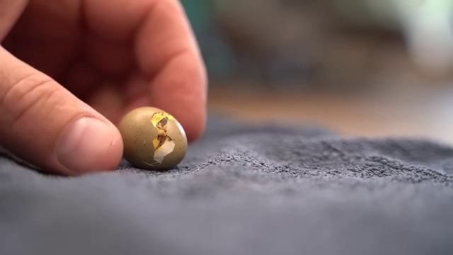 Яйцо размером с шмеля нуждалось в помощи чтобы выжить 1 часть