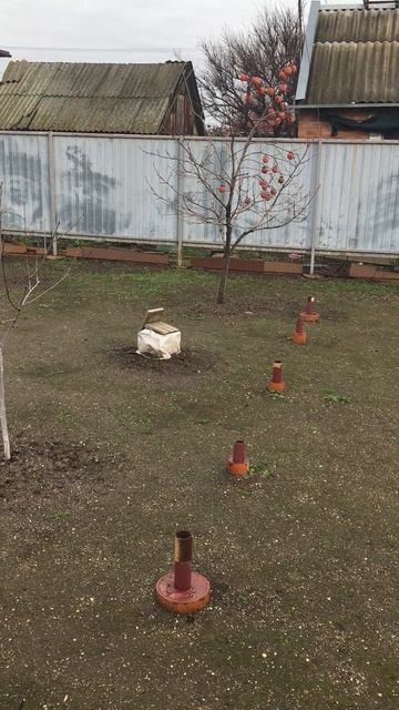 Пошёл, сорвал и съел! 6.01.2026. С наступающим Рождеством!😜 Ей смотреть онлайн