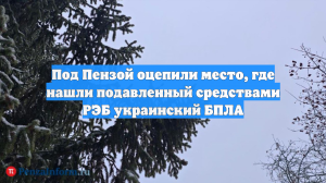 Под Пензой обнаружен подавленный средствами РЭБ беспилотник