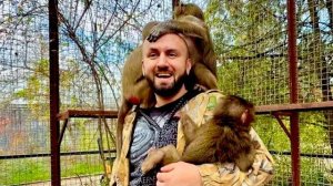 Алина принесла к Мане и Степе кипишную Анфису,которая никак не хочет контактировать с себе подобными