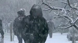 Из-за сильных снегопадов в европейских городах отменяют сотни рейсов.