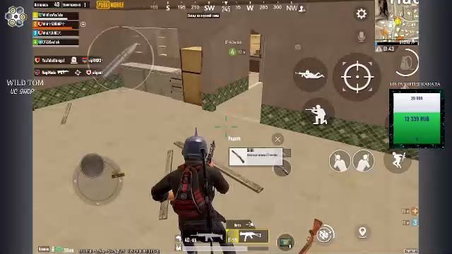 LIVE: WildTom_YouTube