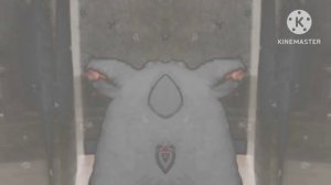 BOOBA Csupo in G Major 4 + Confusion