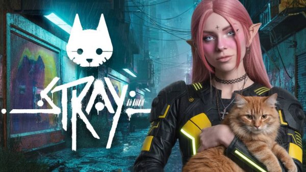 STRAY быть котом сложнее, чем кажется😺