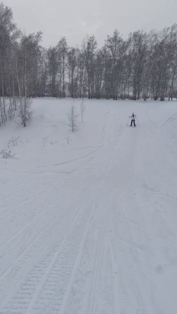 video_2026-01-06_14-49-10 смотреть онлайн